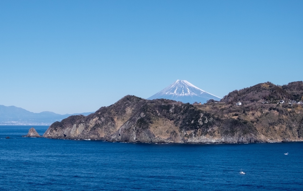 f:id:saetta0404:20190129212930j:plain