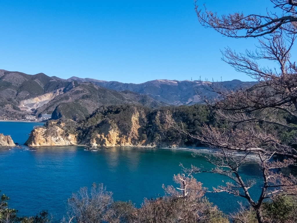 f:id:saetta0404:20190129213019j:plain