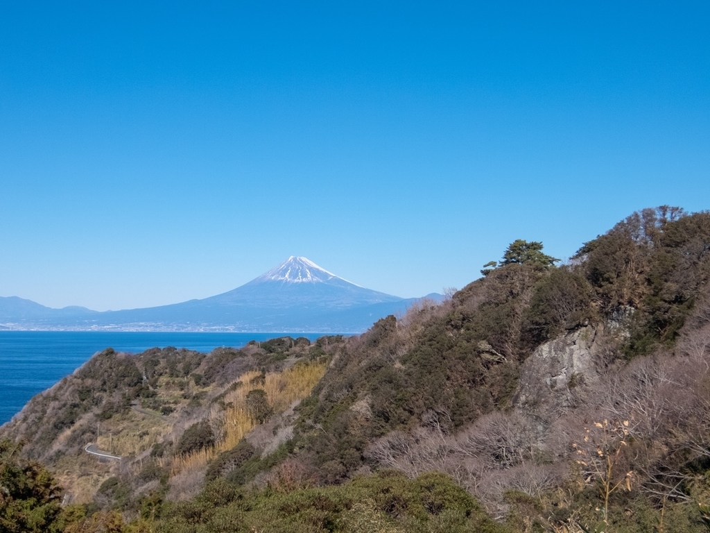 f:id:saetta0404:20190129213227j:plain