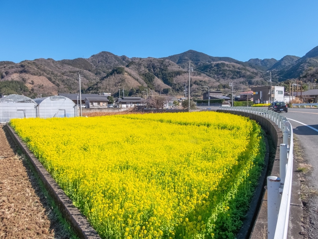 f:id:saetta0404:20190129213449j:plain