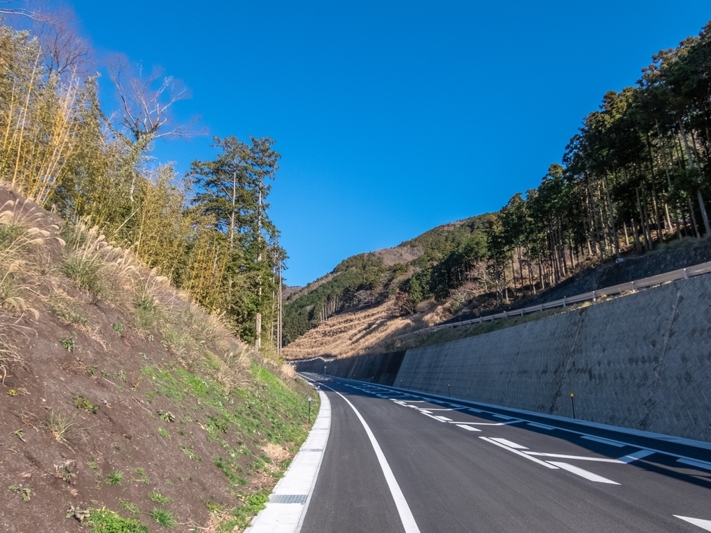 f:id:saetta0404:20190129213745j:plain