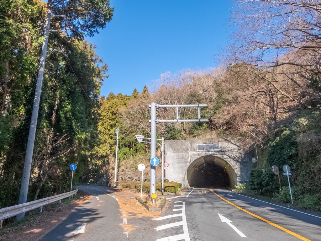 f:id:saetta0404:20190129213855j:plain