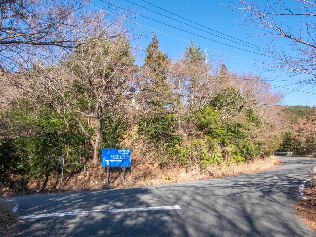 f:id:saetta0404:20190129214017j:plain