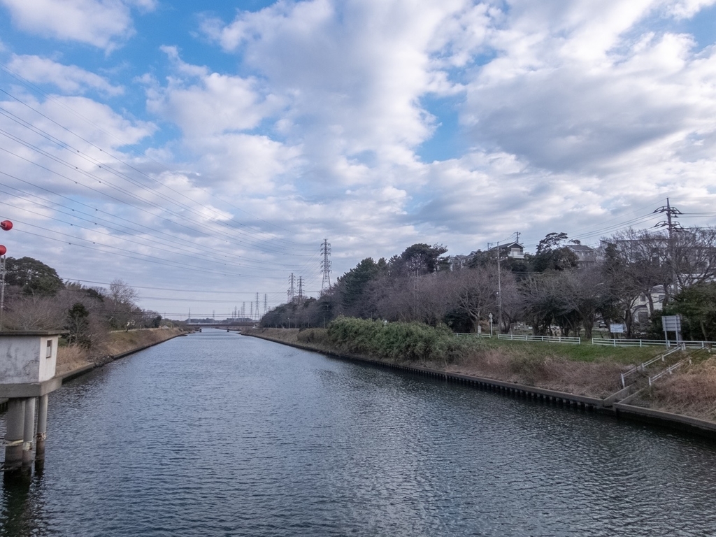 f:id:saetta0404:20190219224715j:plain