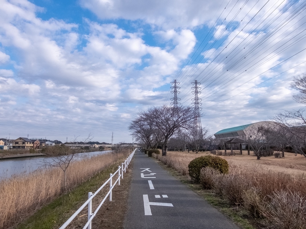 f:id:saetta0404:20190219224742j:plain