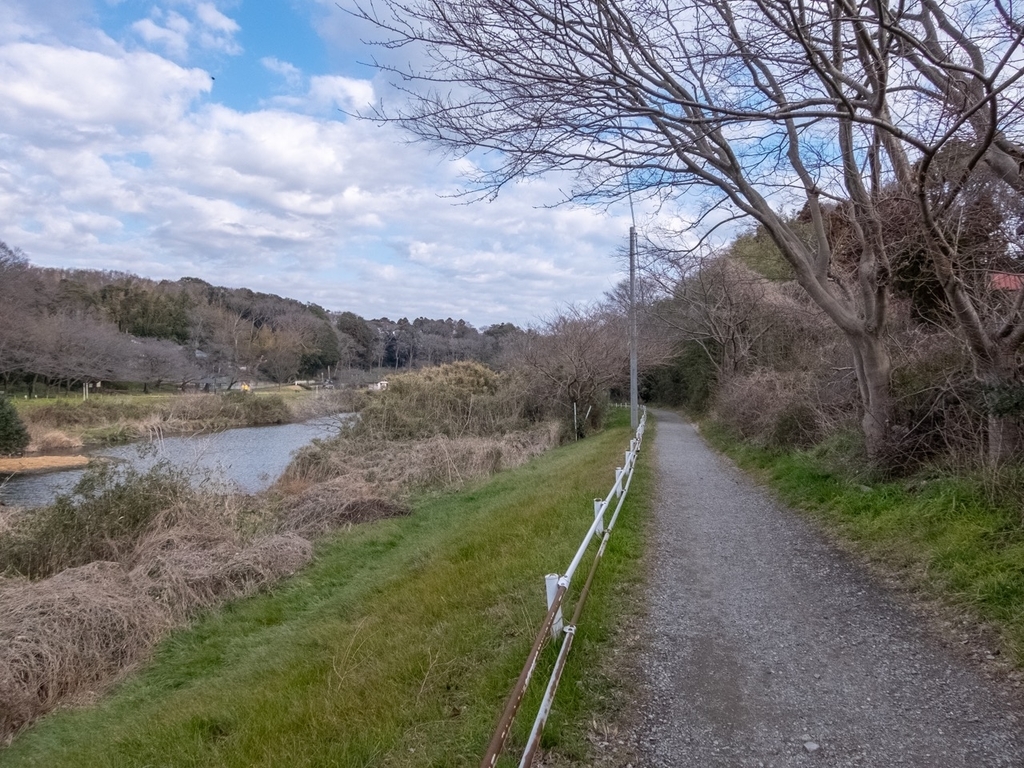 f:id:saetta0404:20190219224814j:plain