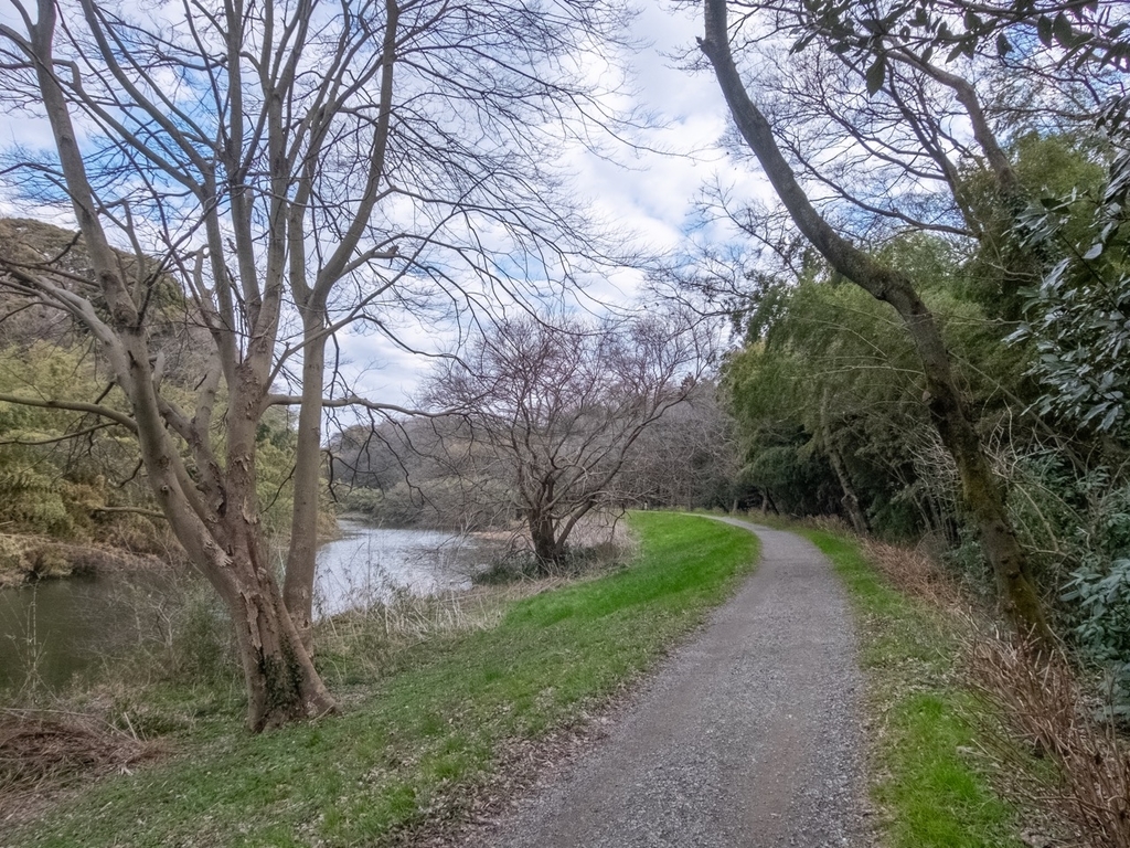 f:id:saetta0404:20190219224854j:plain