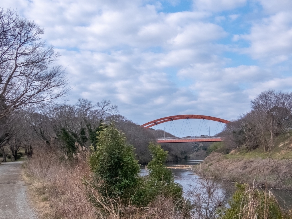 f:id:saetta0404:20190219225312j:plain