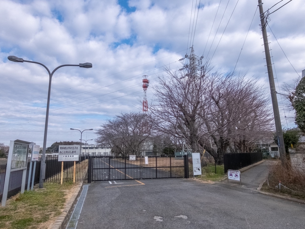 f:id:saetta0404:20190219225449j:plain