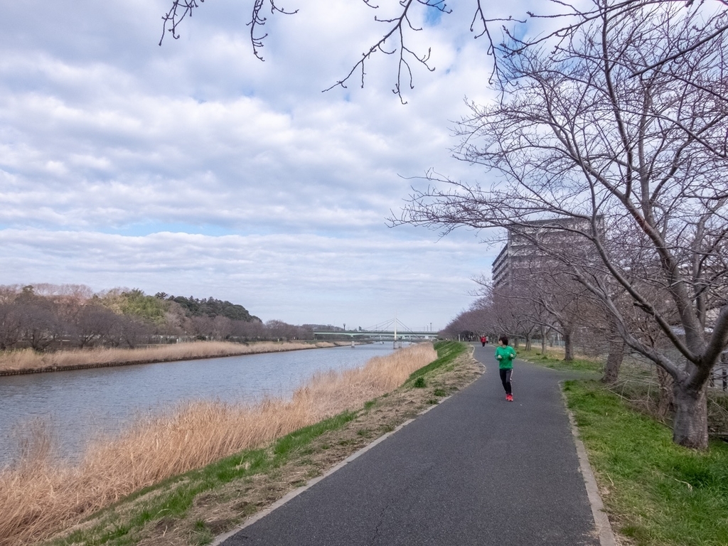 f:id:saetta0404:20190219225523j:plain