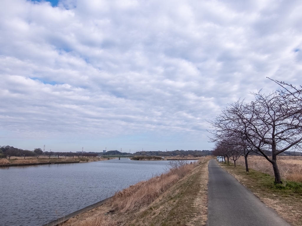 f:id:saetta0404:20190219225613j:plain