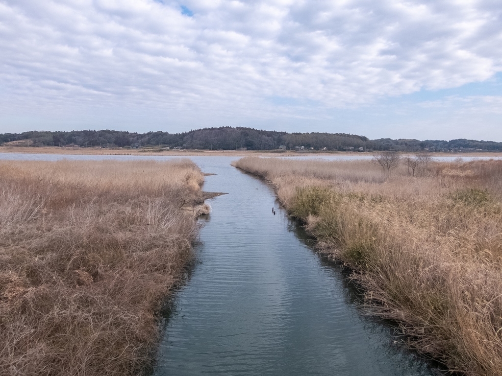 f:id:saetta0404:20190219225705j:plain