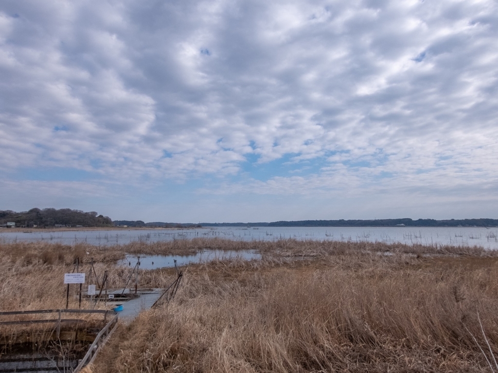 f:id:saetta0404:20190219225814j:plain