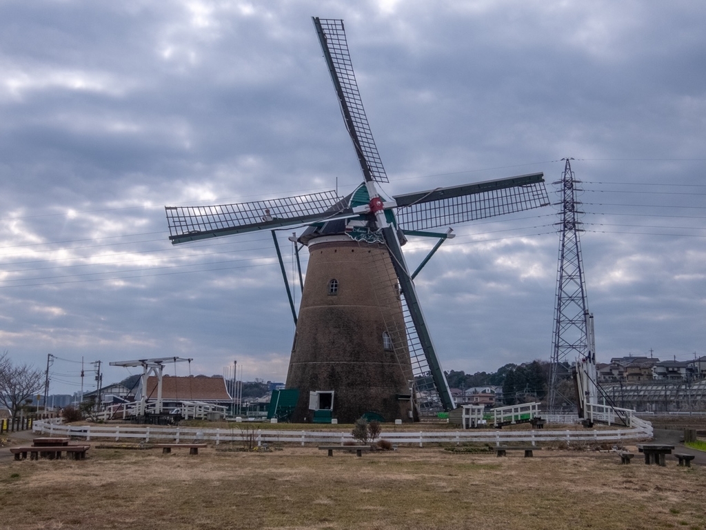 f:id:saetta0404:20190219230050j:plain