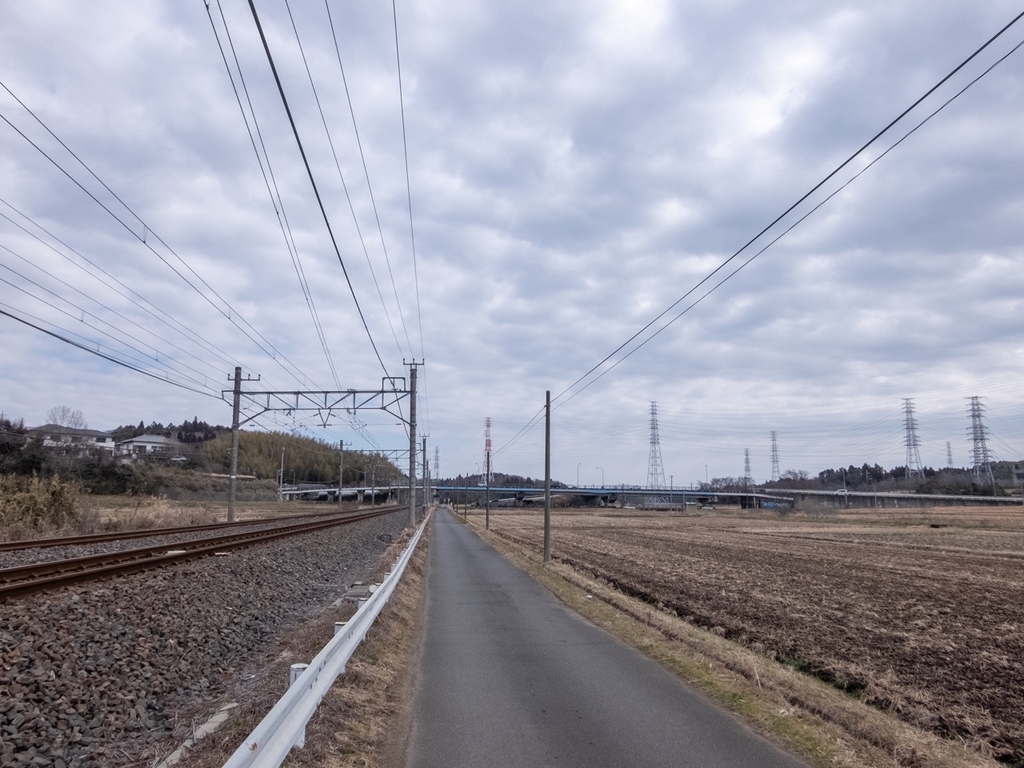 f:id:saetta0404:20190219230305j:plain