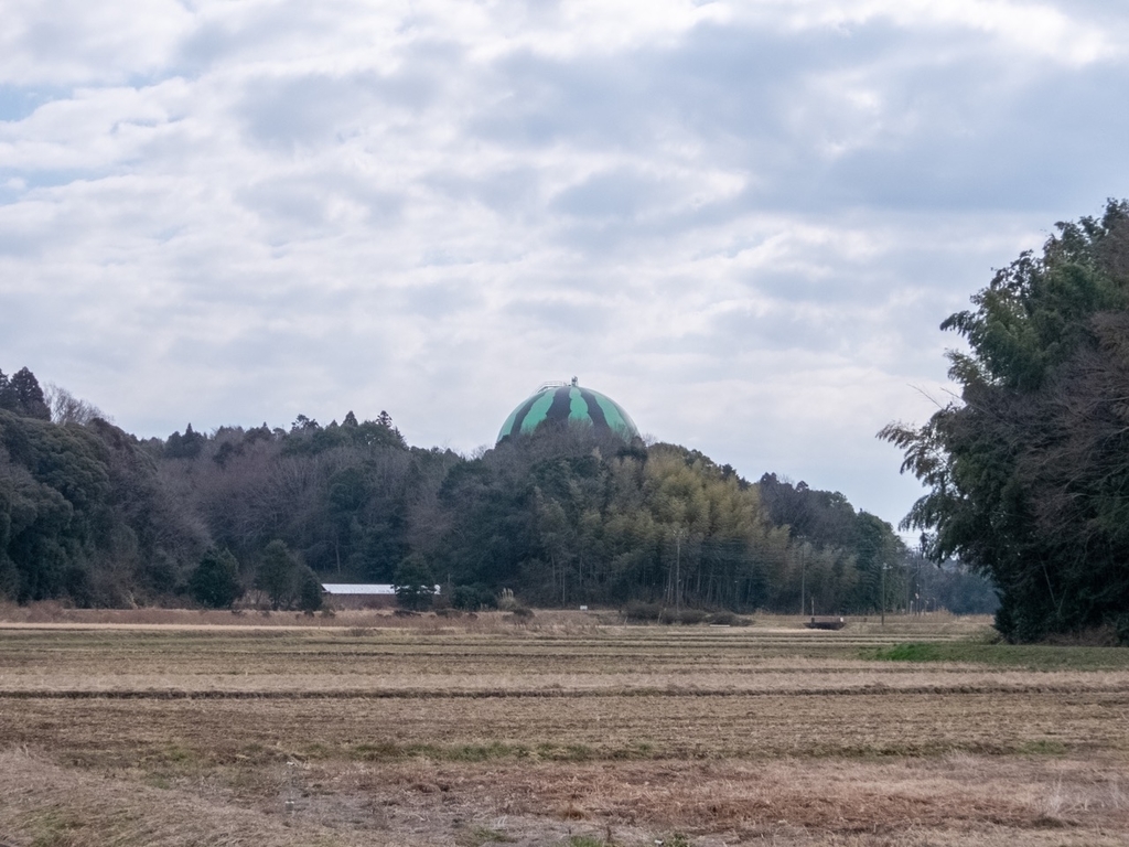 f:id:saetta0404:20190219230519j:plain