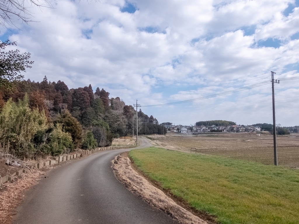 f:id:saetta0404:20190219230719j:plain