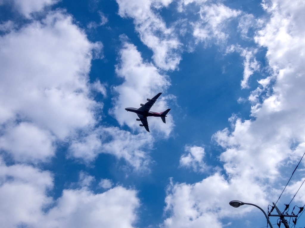 f:id:saetta0404:20190219230800j:plain