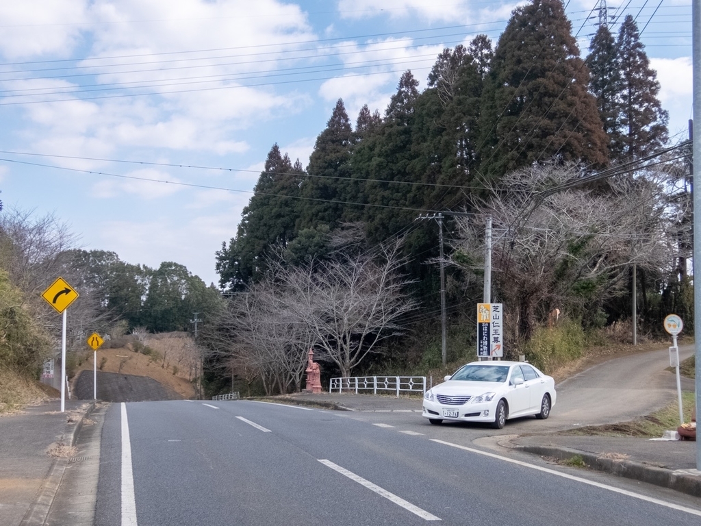 f:id:saetta0404:20190219230827j:plain