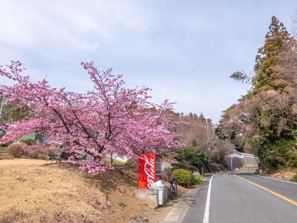 f:id:saetta0404:20190303070210j:plain f:id:saetta0404:20190303070210j:plain