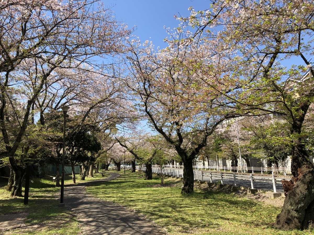 f:id:saetta0404:20190414115927j:plain