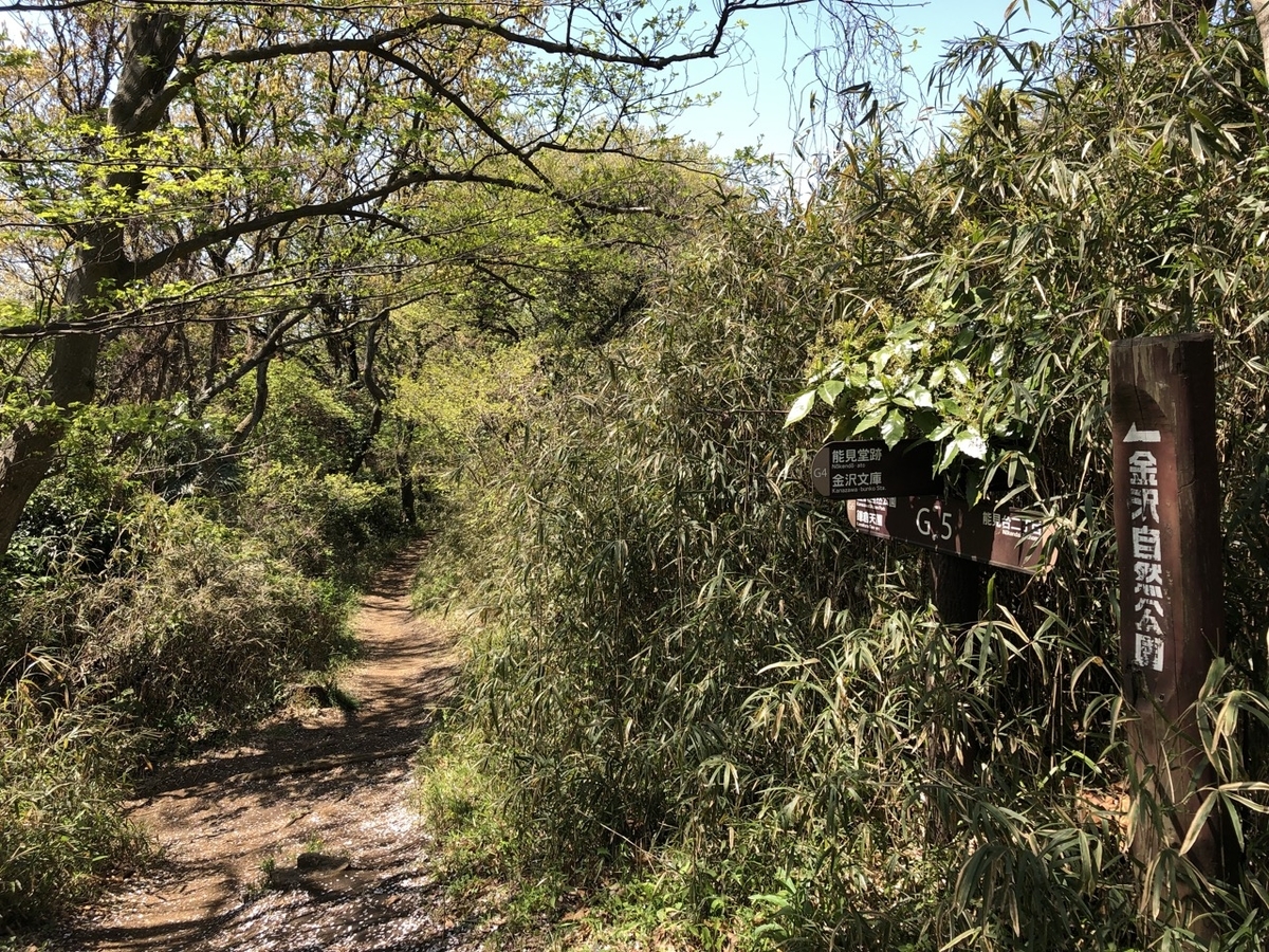 f:id:saetta0404:20190414120009j:plain