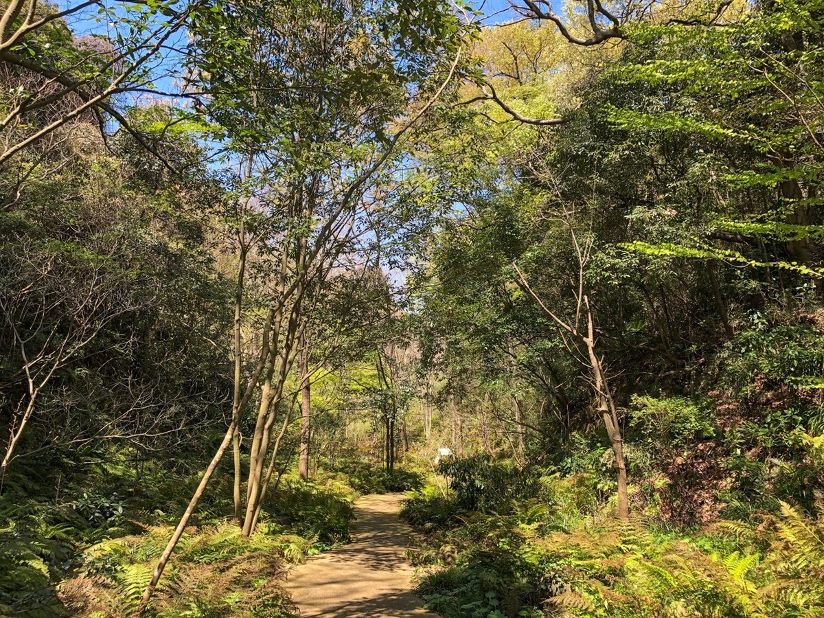 f:id:saetta0404:20190414120607j:plain