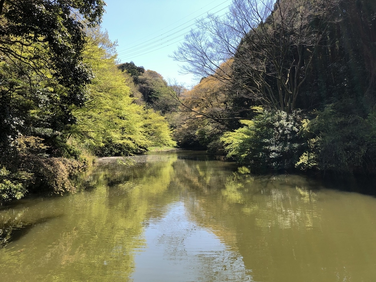 f:id:saetta0404:20190414120726j:plain