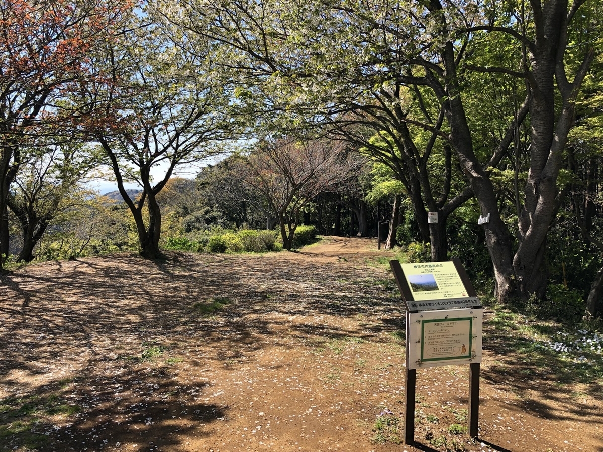 f:id:saetta0404:20190414120914j:plain