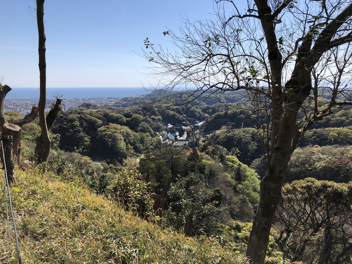 f:id:saetta0404:20190414120955j:plain