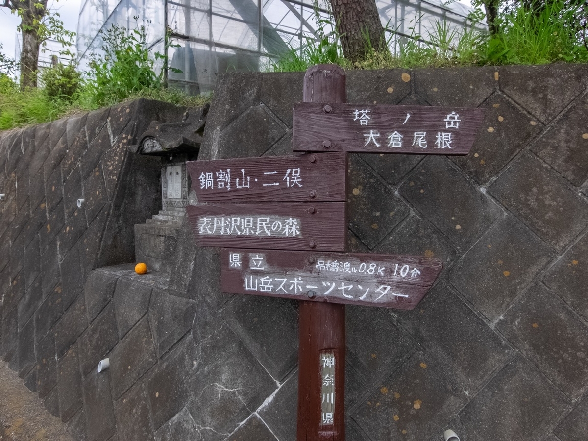 f:id:saetta0404:20190501072910j:plain
