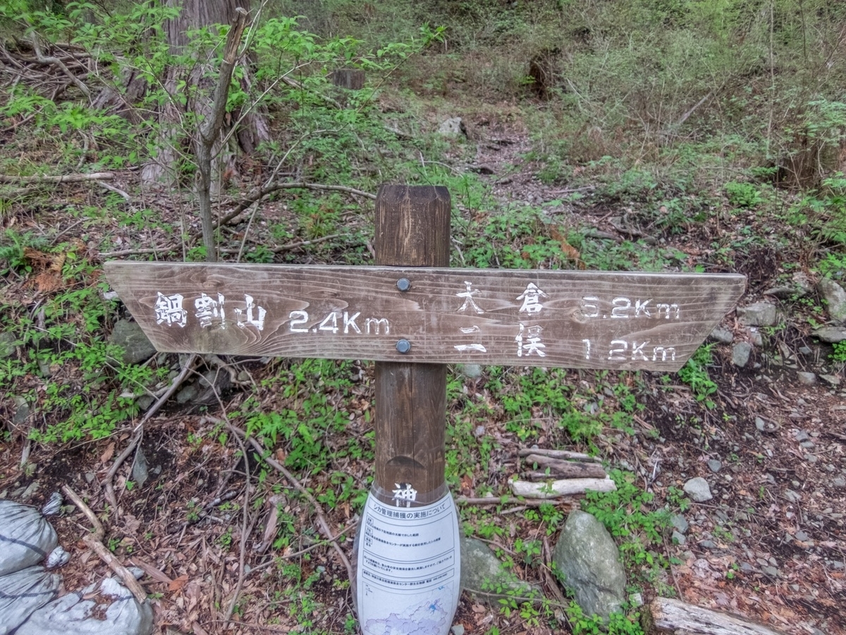 f:id:saetta0404:20190501075216j:plain