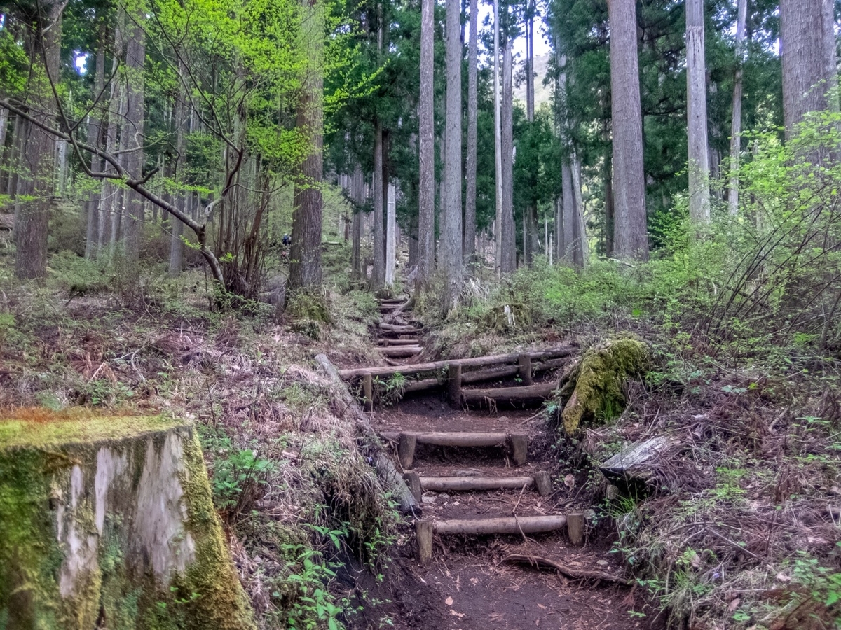 f:id:saetta0404:20190501075620j:plain