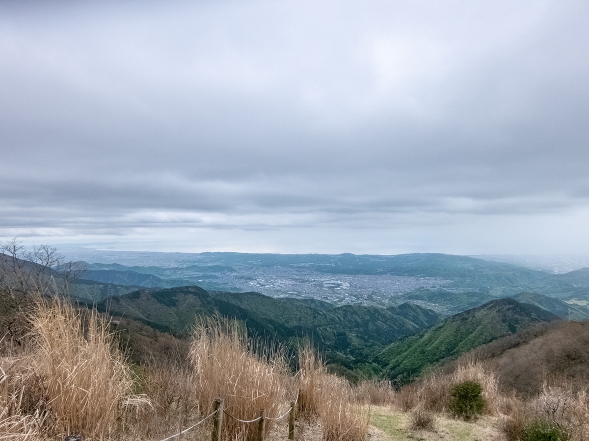 f:id:saetta0404:20190501082257j:plain