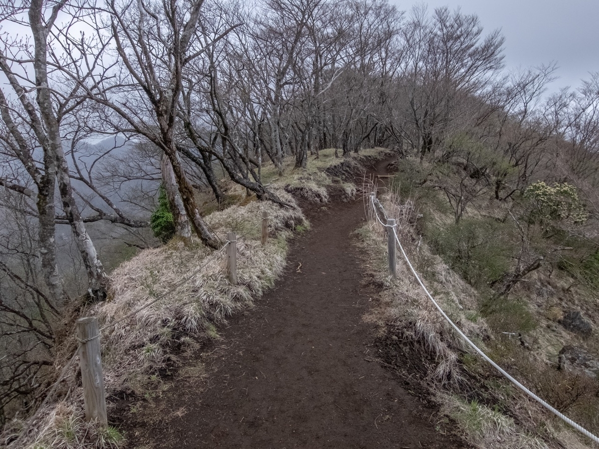 f:id:saetta0404:20190501082517j:plain