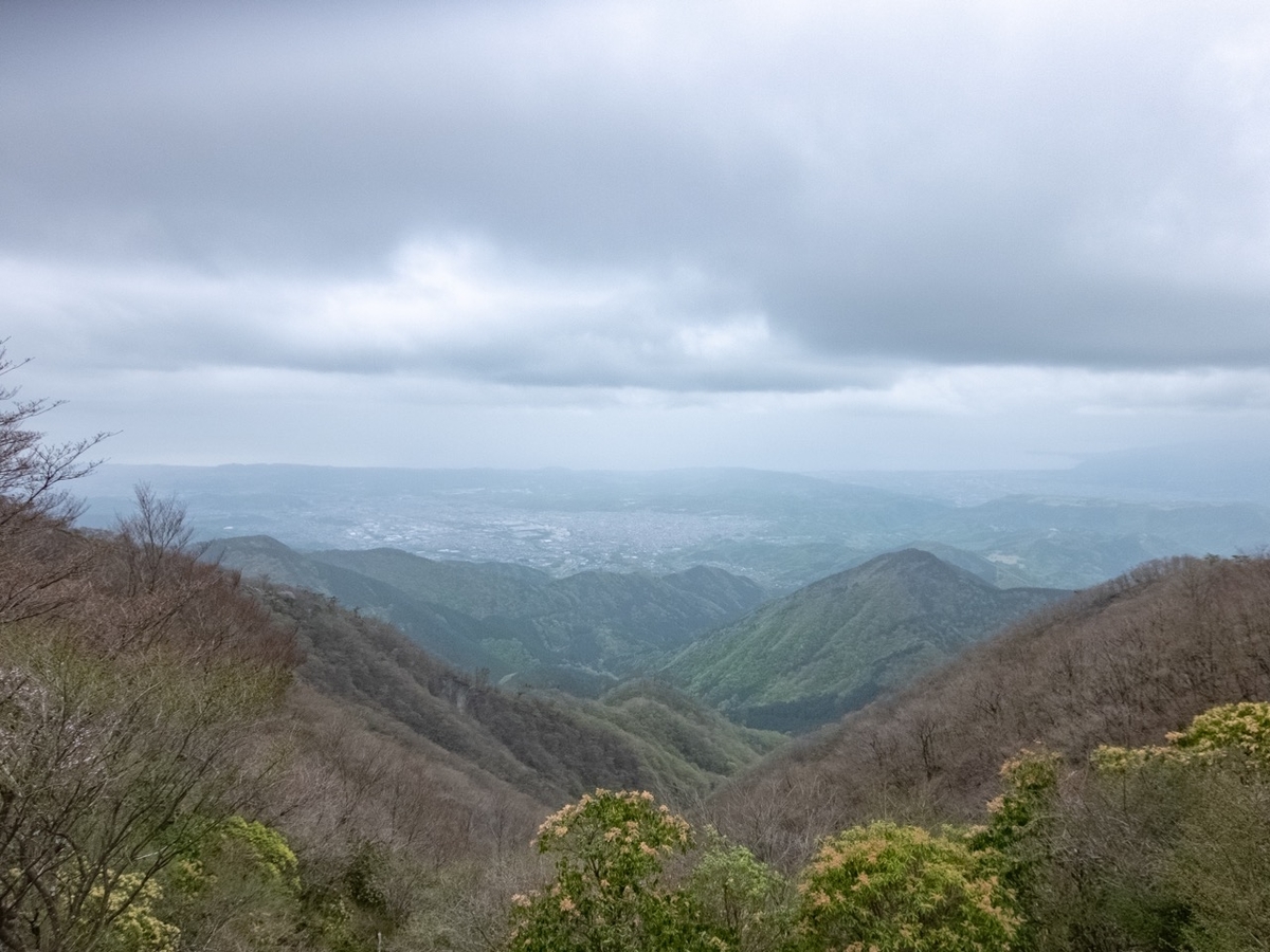 f:id:saetta0404:20190501082702j:plain