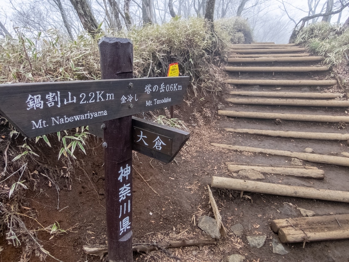 f:id:saetta0404:20190501083328j:plain