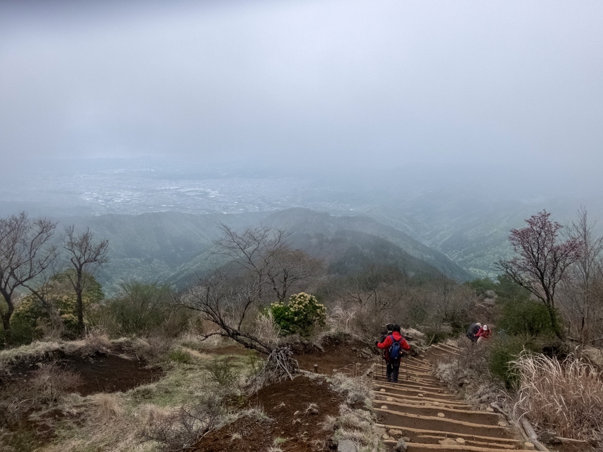 f:id:saetta0404:20190501083456j:plain