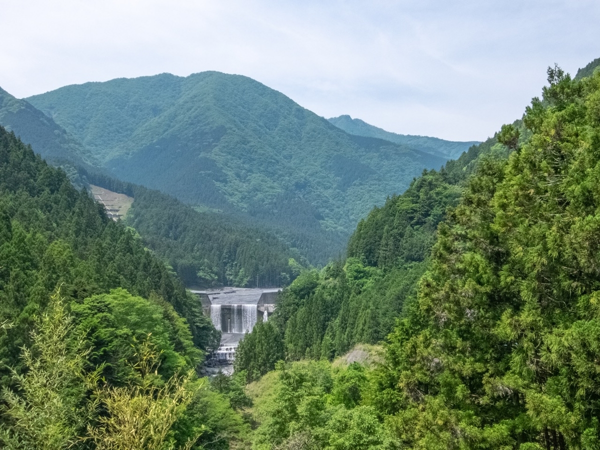 f:id:saetta0404:20190527223705j:plain f:id:saetta0404:20190527223705j:plain
