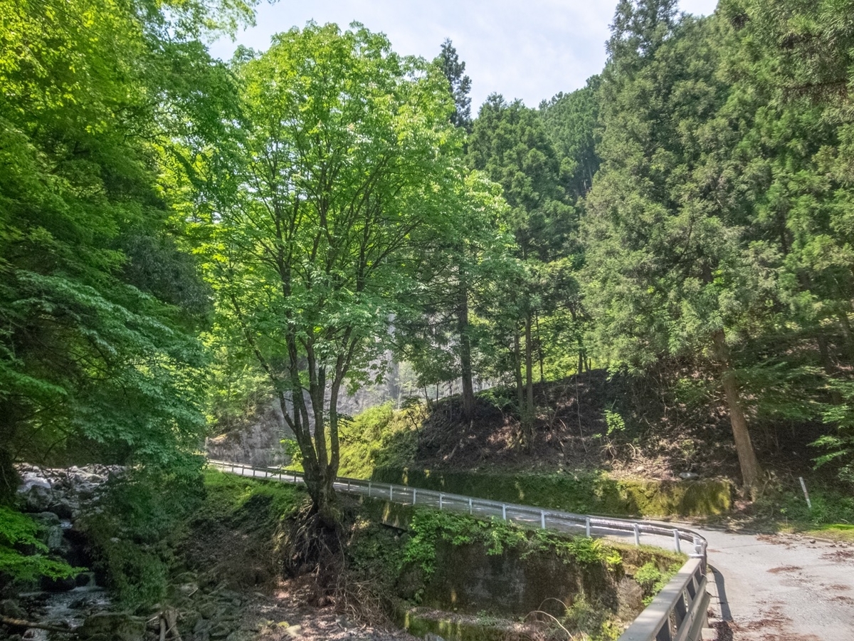 f:id:saetta0404:20190527224838j:plain f:id:saetta0404:20190527224838j:plain