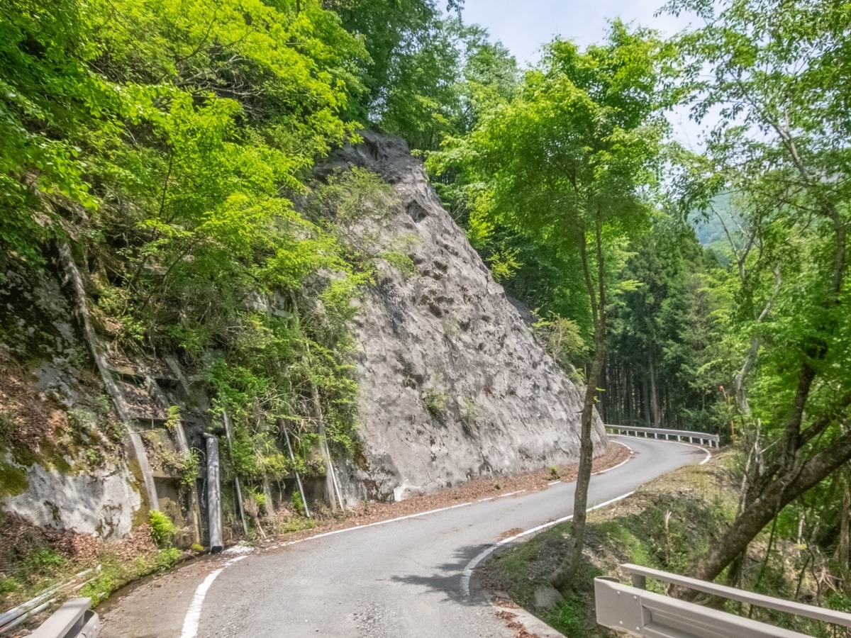 f:id:saetta0404:20190527224911j:plain f:id:saetta0404:20190527224911j:plain