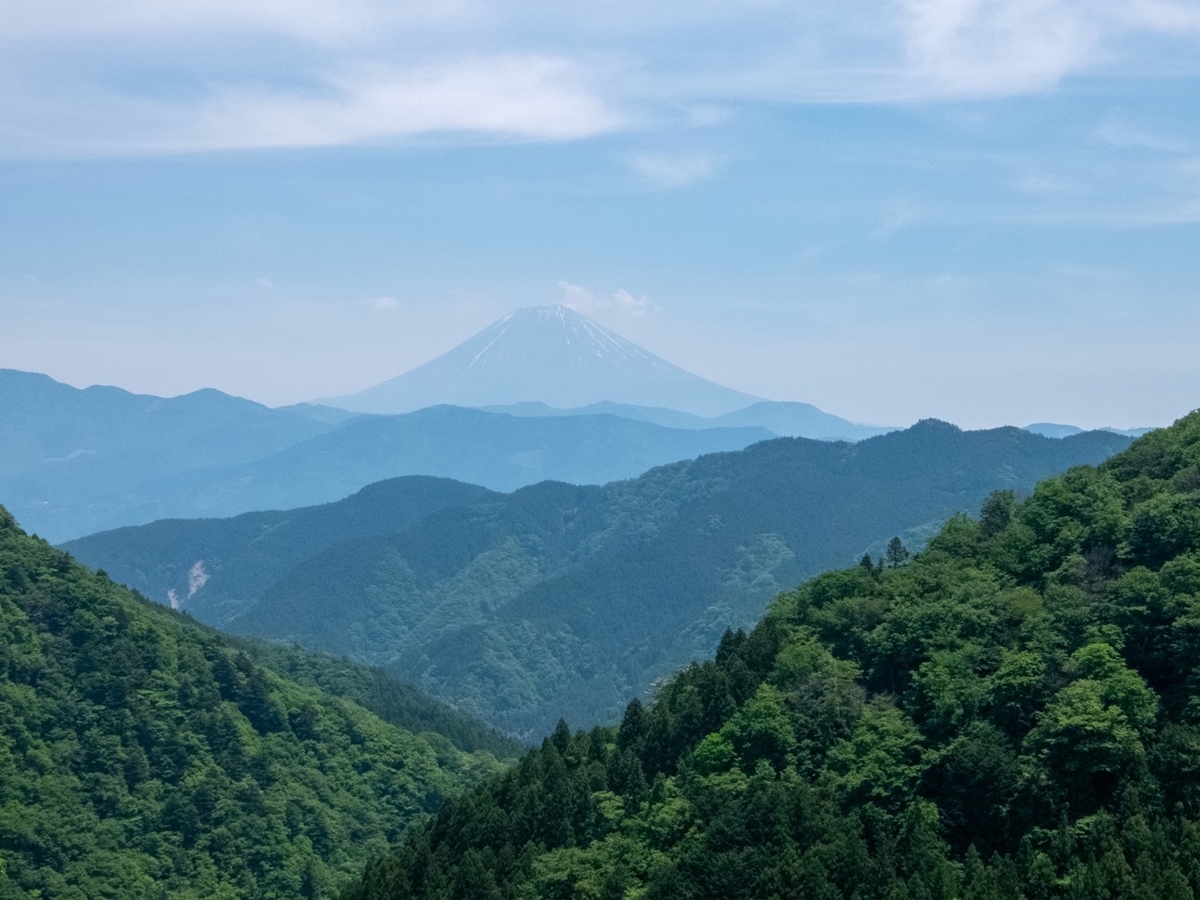 f:id:saetta0404:20190527225329j:plain f:id:saetta0404:20190527225329j:plain