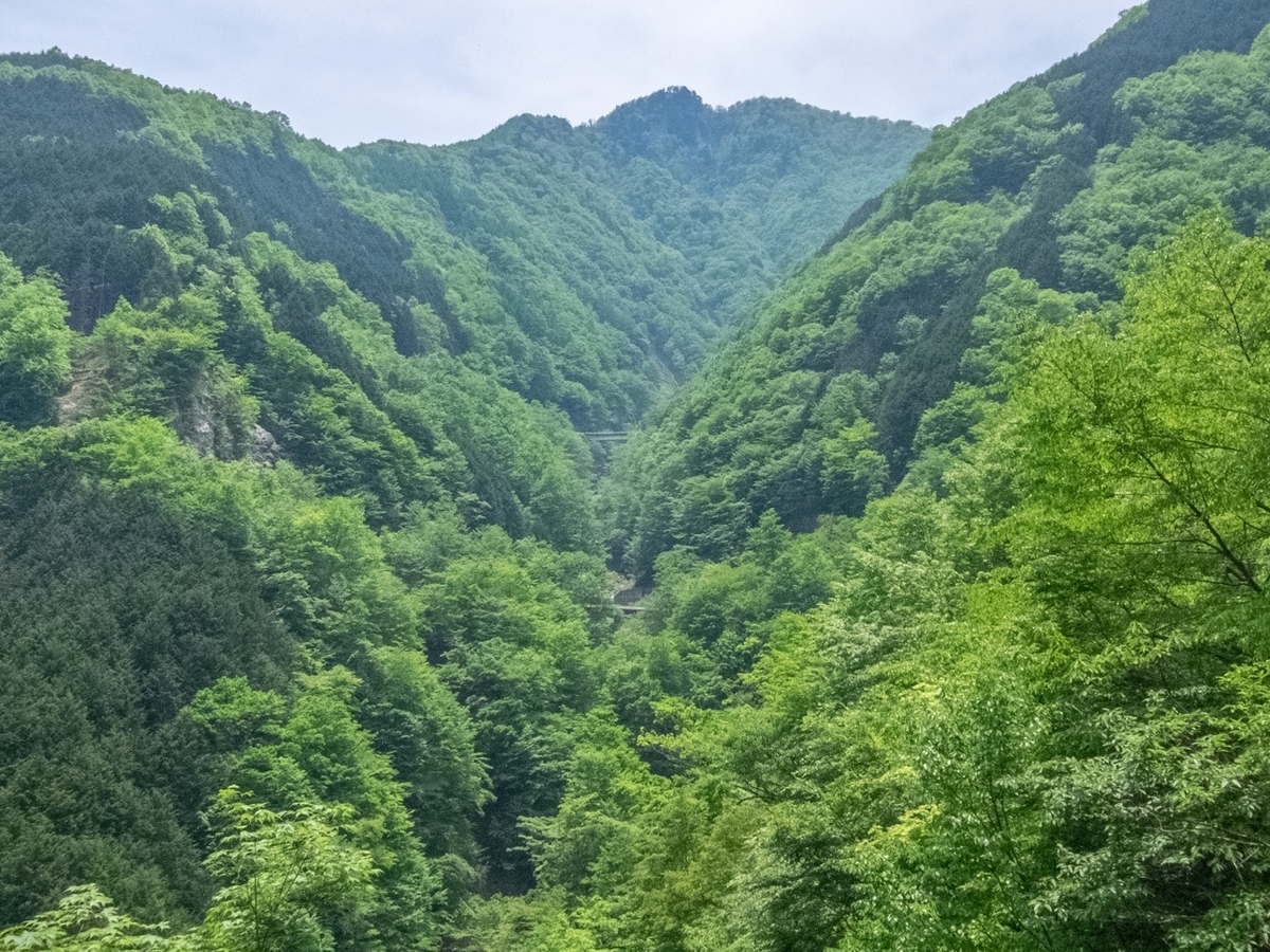 f:id:saetta0404:20190527230025j:plain f:id:saetta0404:20190527230025j:plain