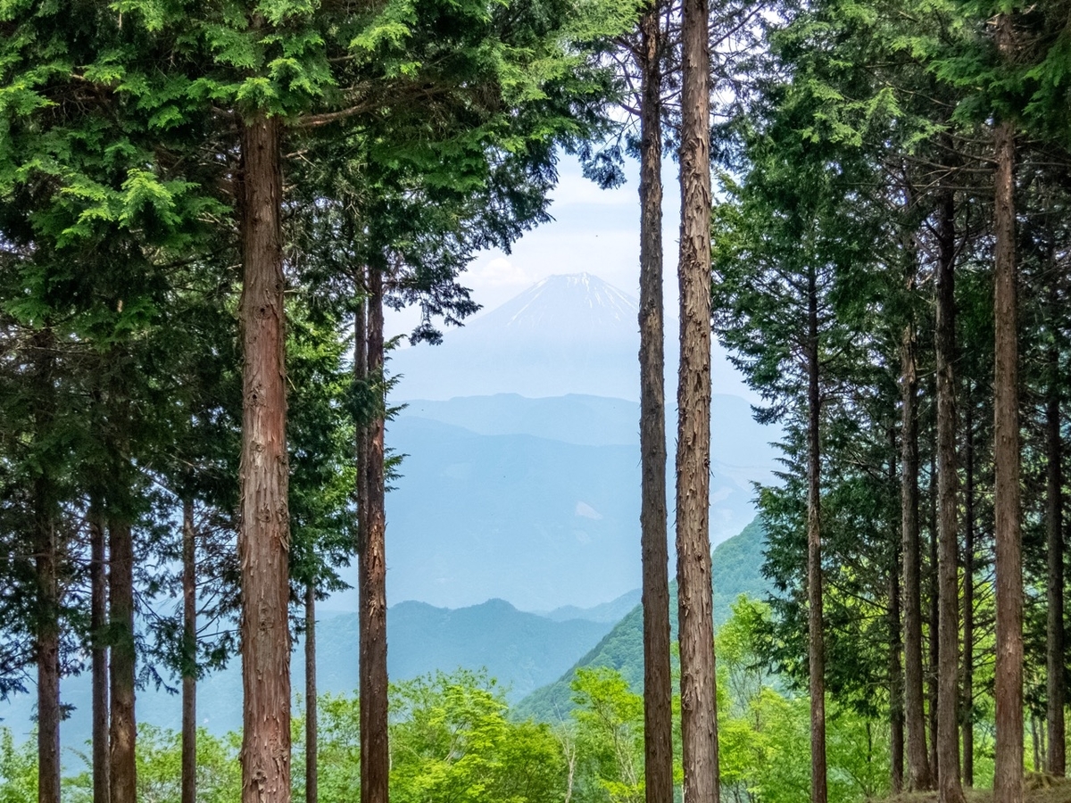 f:id:saetta0404:20190527231433j:plain f:id:saetta0404:20190527231433j:plain