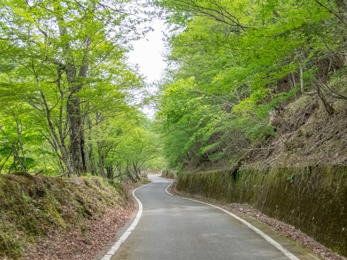 f:id:saetta0404:20190527231732j:plain f:id:saetta0404:20190527231732j:plain