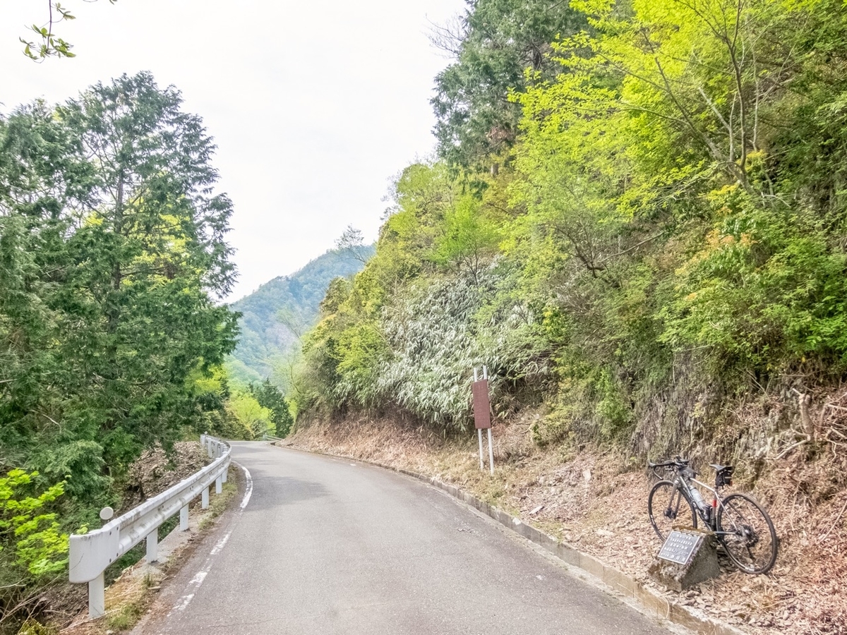 f:id:saetta0404:20190527231807j:plain f:id:saetta0404:20190527231807j:plain