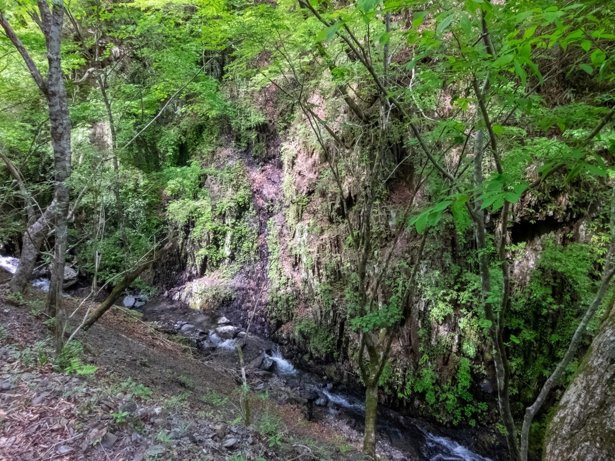 f:id:saetta0404:20190527232042j:plain f:id:saetta0404:20190527232042j:plain