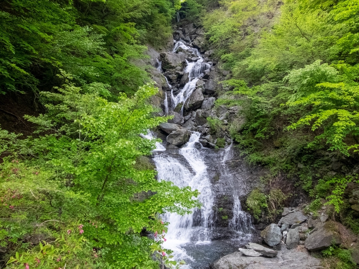 f:id:saetta0404:20190527232151j:plain f:id:saetta0404:20190527232151j:plain