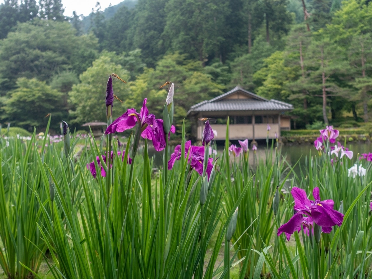 f:id:saetta0404:20190705201011j:plain