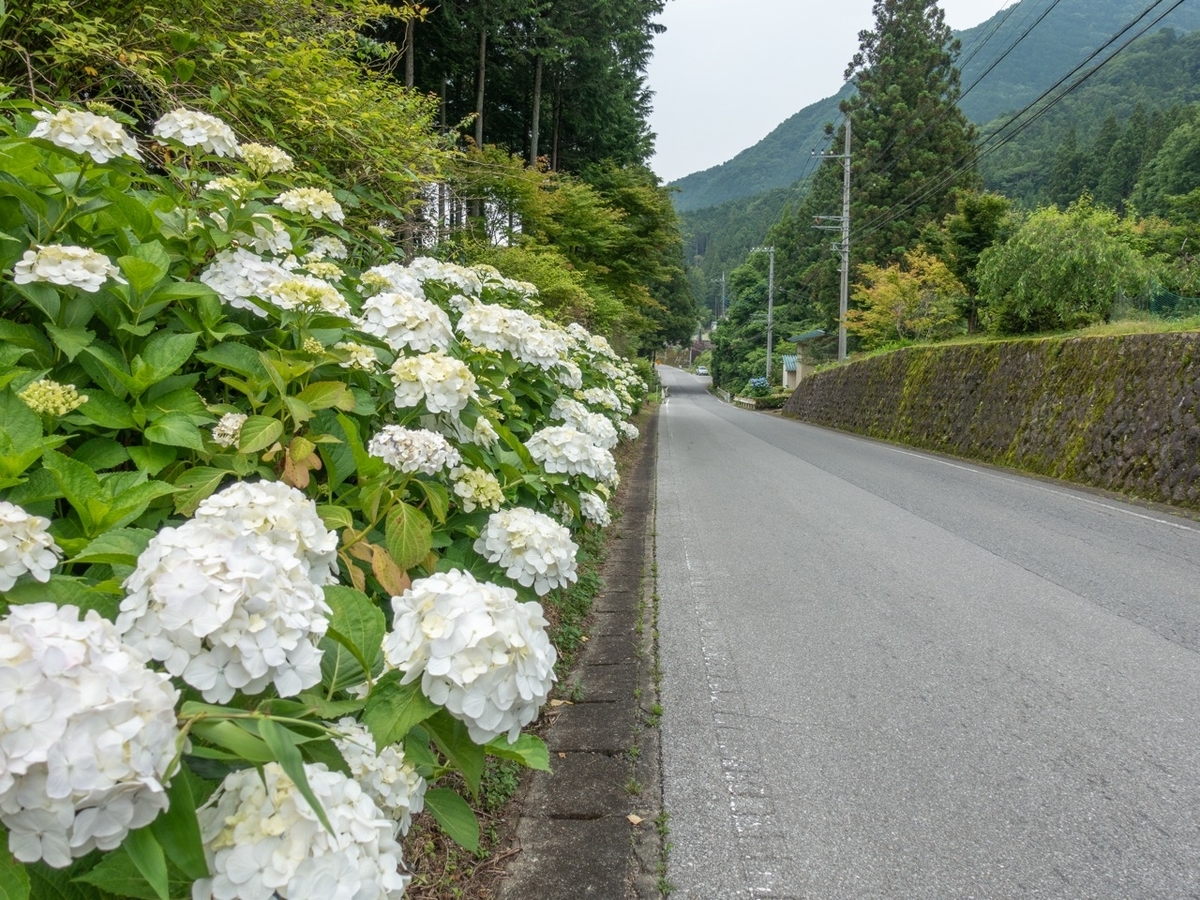 f:id:saetta0404:20190705201107j:plain